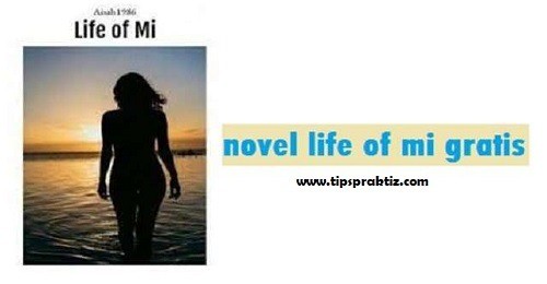 novel life of mi