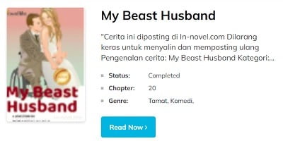novel my beast husband